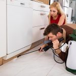 Is It Vital To Maintain Your Kitchen After Pest Control