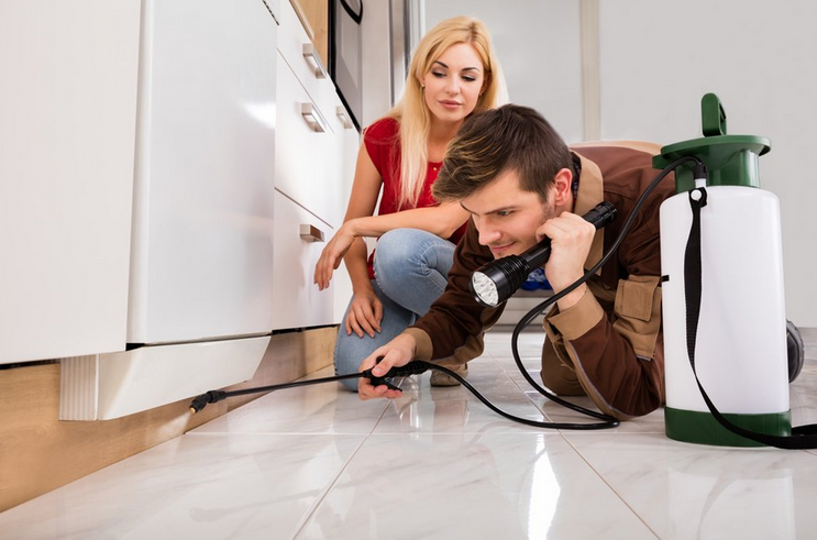 pest control red deer