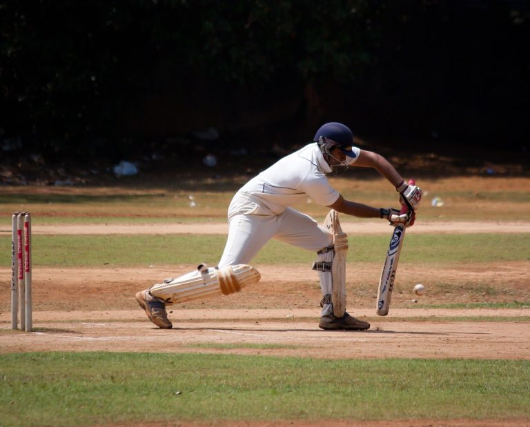 Player on the cricket ground