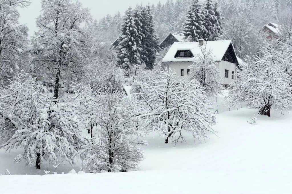 snow shoveling service near me