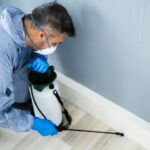 pest control service edmonton