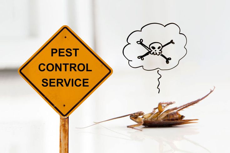 pest control service Edmonton