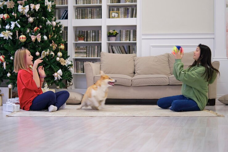 Pet-friendly room